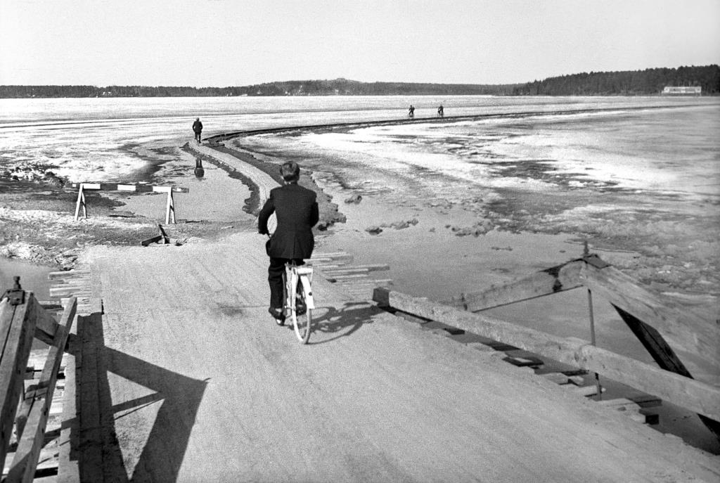 Man som cyklar på den smala plankvägen från Bergnäset och in till centrum.