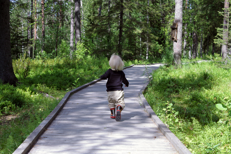 Ett litet barn springer på en spång i skogen