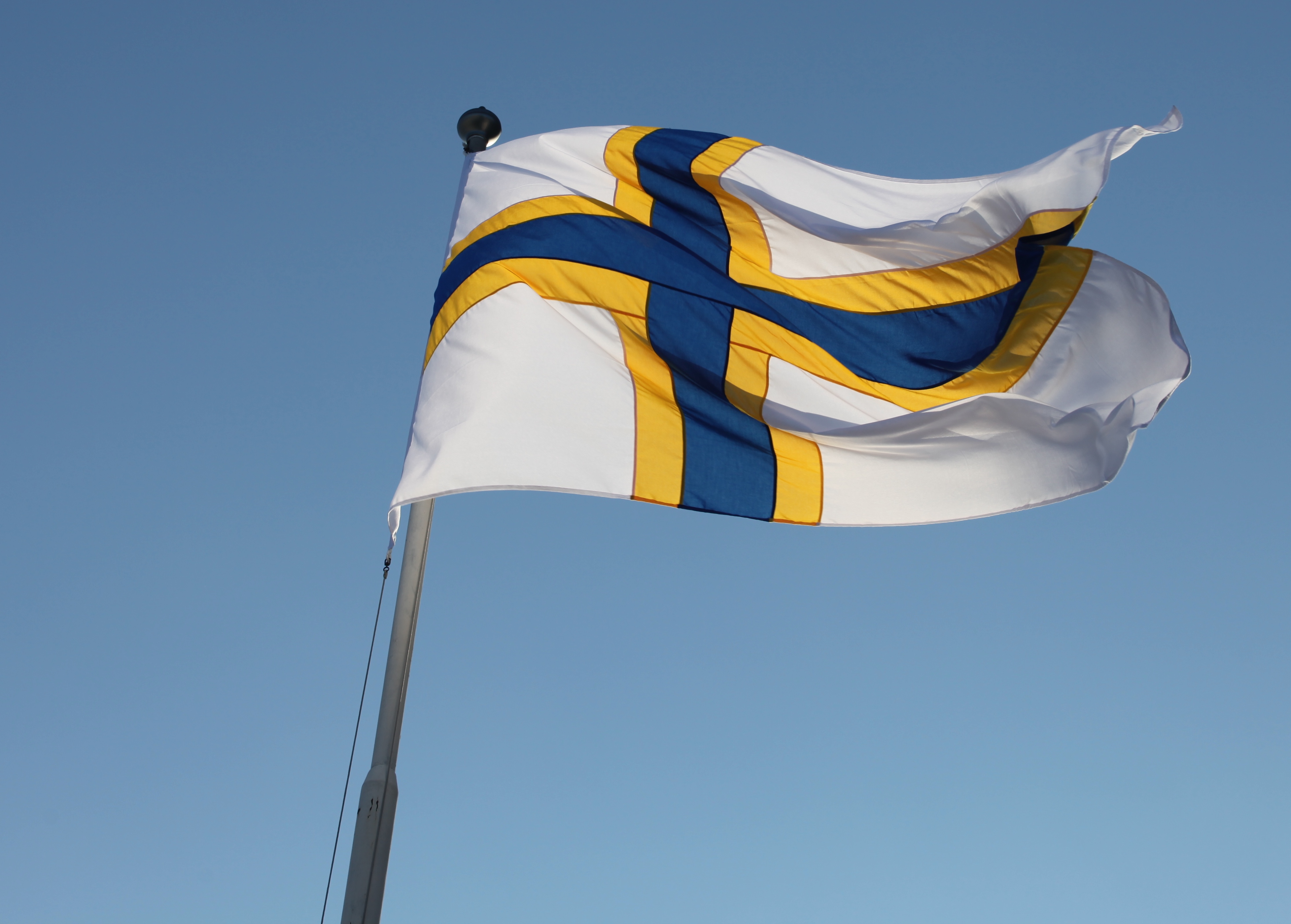 Sverigefinnarnas officiella flagga.