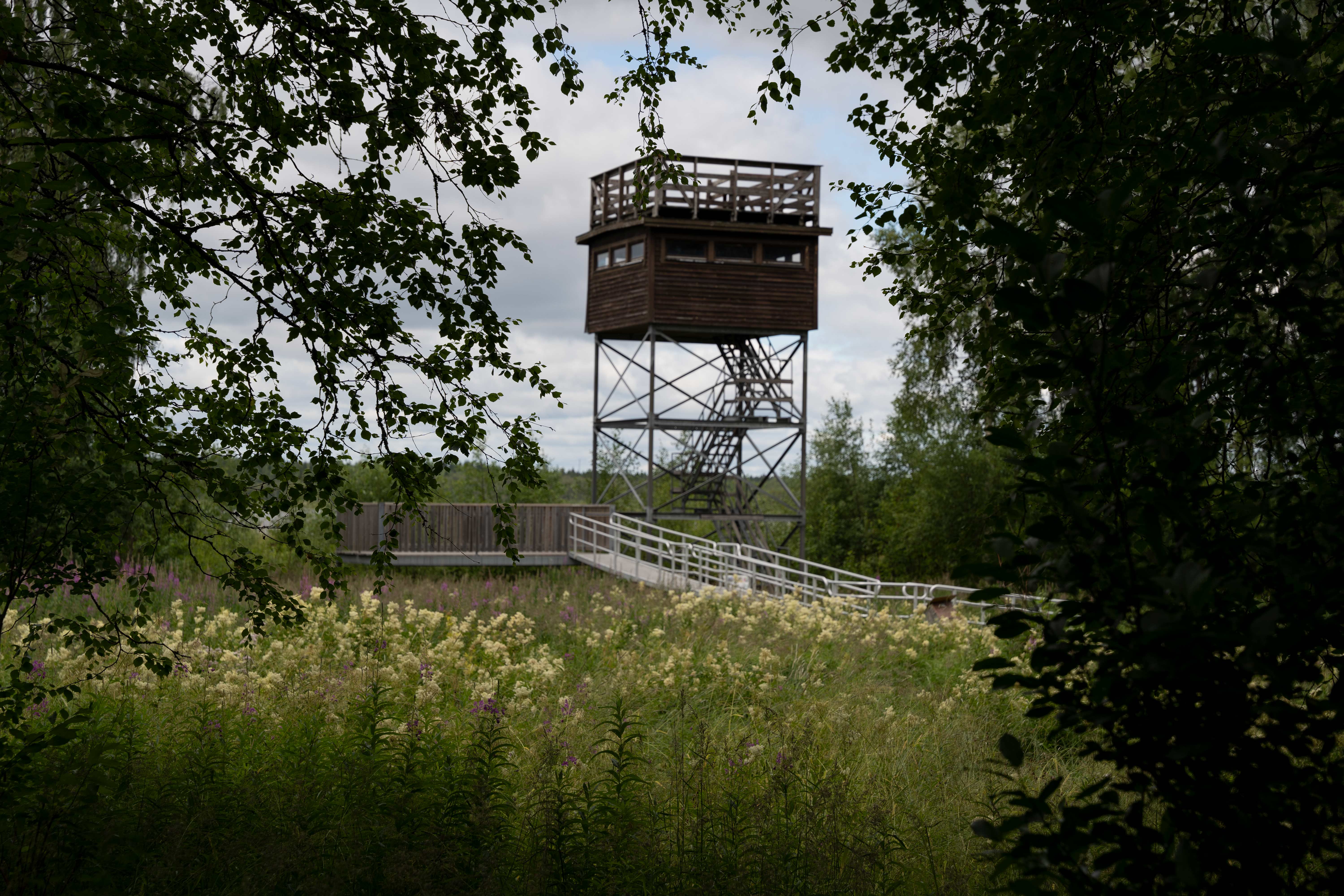 a bird tower by a lake