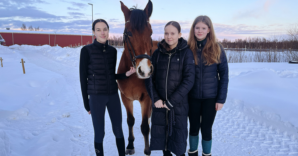 Tre tjejer och en häst står utomhus.