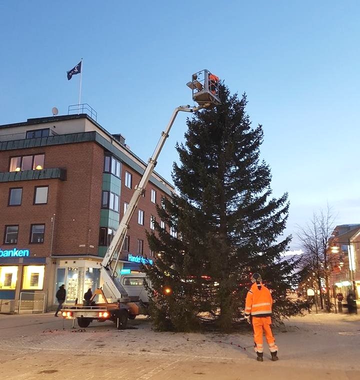 julgran luleå Årets julgran på plats   Vårt Luleå