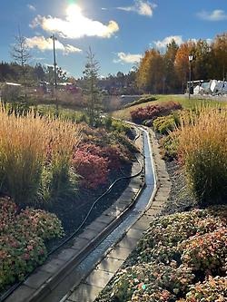 Dagvatten i Kronandalen