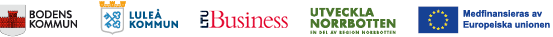 Banner med logotyper: Bodens kommun, Luleå kommun, LTU Business, Utveckla Norrbotten, EU-Medfinansieras av Europeiska unionen.