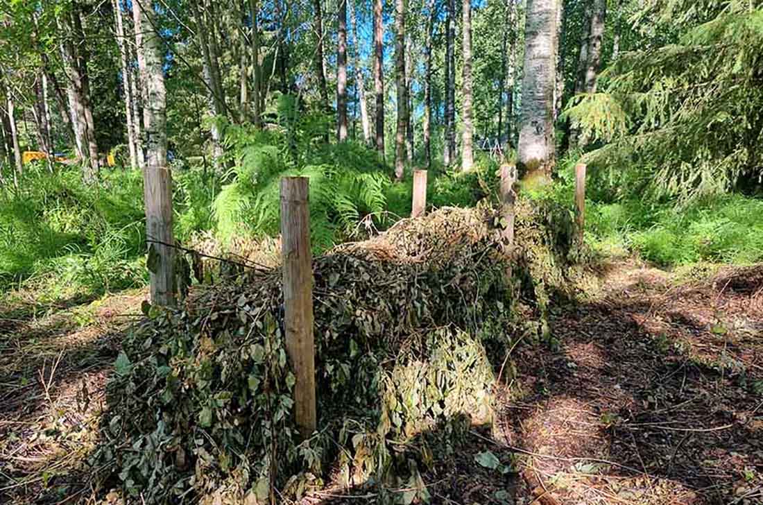 Bilden visar en risorm i skogen. Mellan några pinnar ligger kapat sly staplat