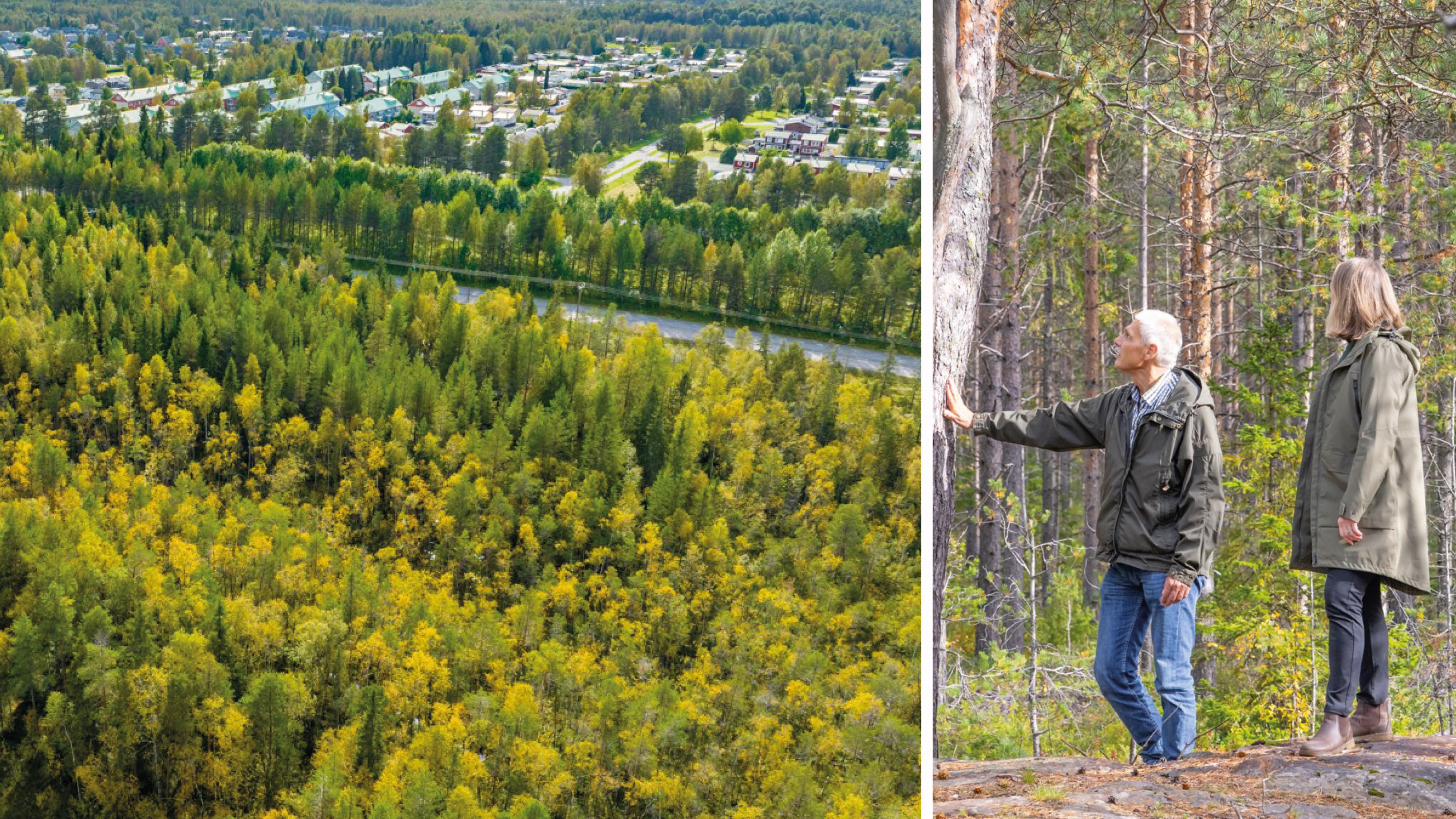 En vybild på Hertsöheden och en bild på Mia Ozoh och Örjan Spansk från Luleå kommun som inspekterar ett träd. Foto: Peter Rosén.