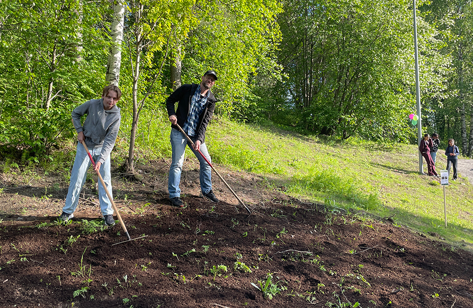 Frösådd vid en slänt.
