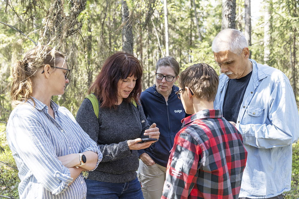 Fältbesök på platsen där Talga planerar ekokompensation på Ormberget - Hertsölandet.