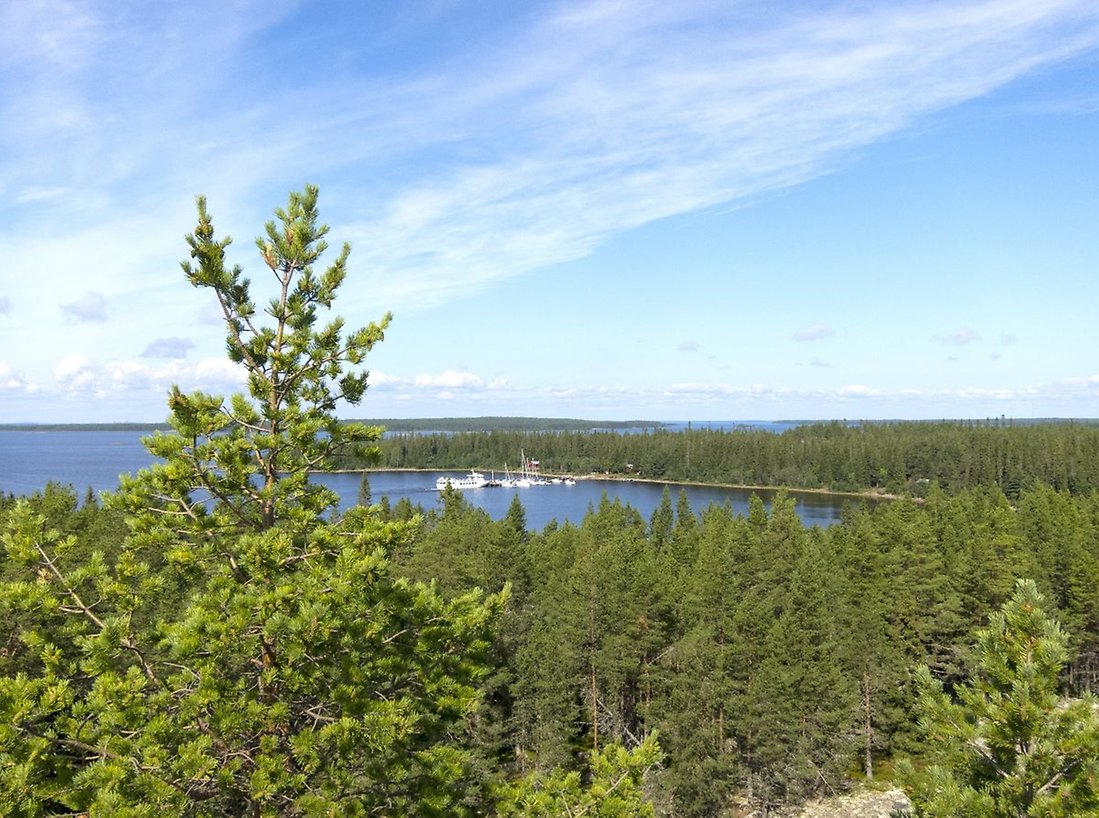 Utsiktstornet på Kluntarna bjuder på en magnifik vy.