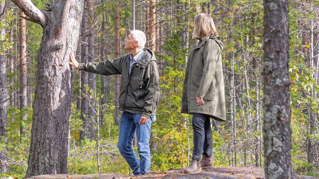 Bild på planarkitekt Mia Ozoh och kommunekolog Örjan Spansk som inspekterar ett träd. 