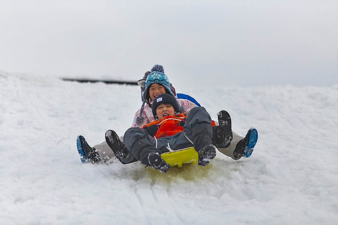 Ett barn åker pulka i snöig backe