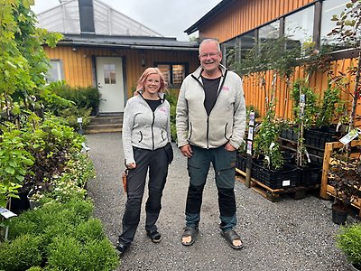 ”Det är mer ett kall än ett jobb” – fyra generationer formar Rutviks handelsträdgård