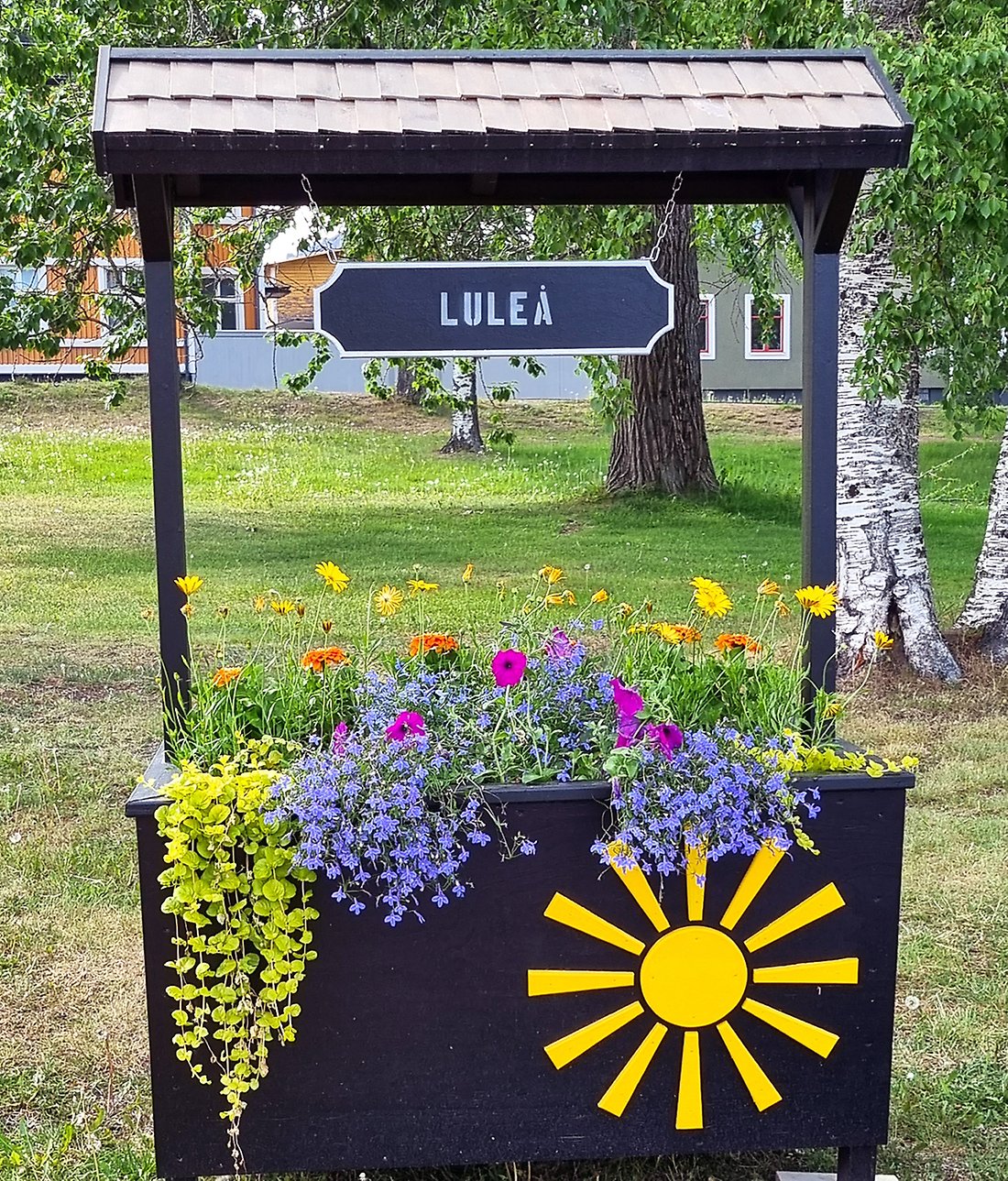 Planteringslådan med 2023 års vinnande planetering i blått och rött med en stor gul sol på kanten och Luleå skrivet ovanför