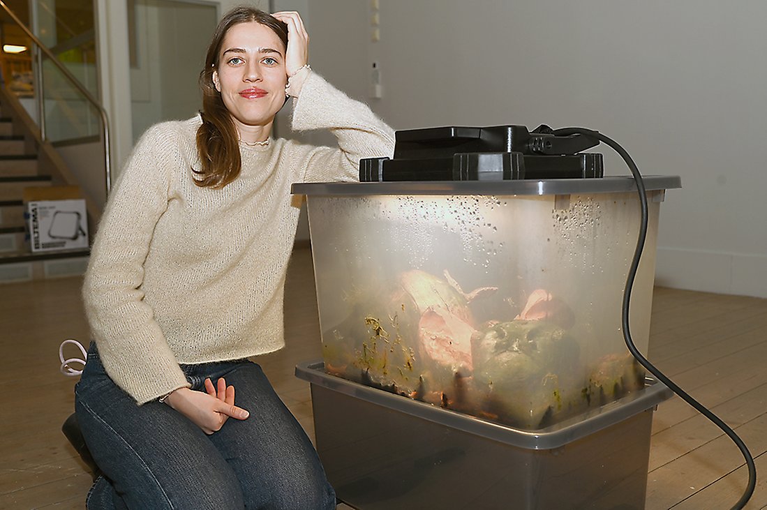 Verket Myran av Evelina Jonsson består av en kärnmjölk- och mossporsmålning applicerad på en stor terrakottaskulptur, tätt innesluten i en förvaringsbox.