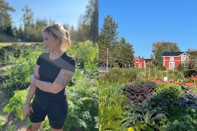 Sanna i Metsund odlar åt kommunen